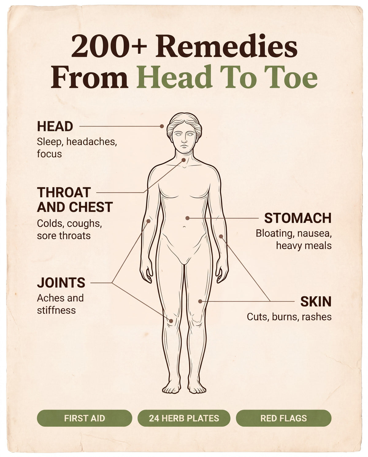 Remedies sorted from head to toe on a body chart